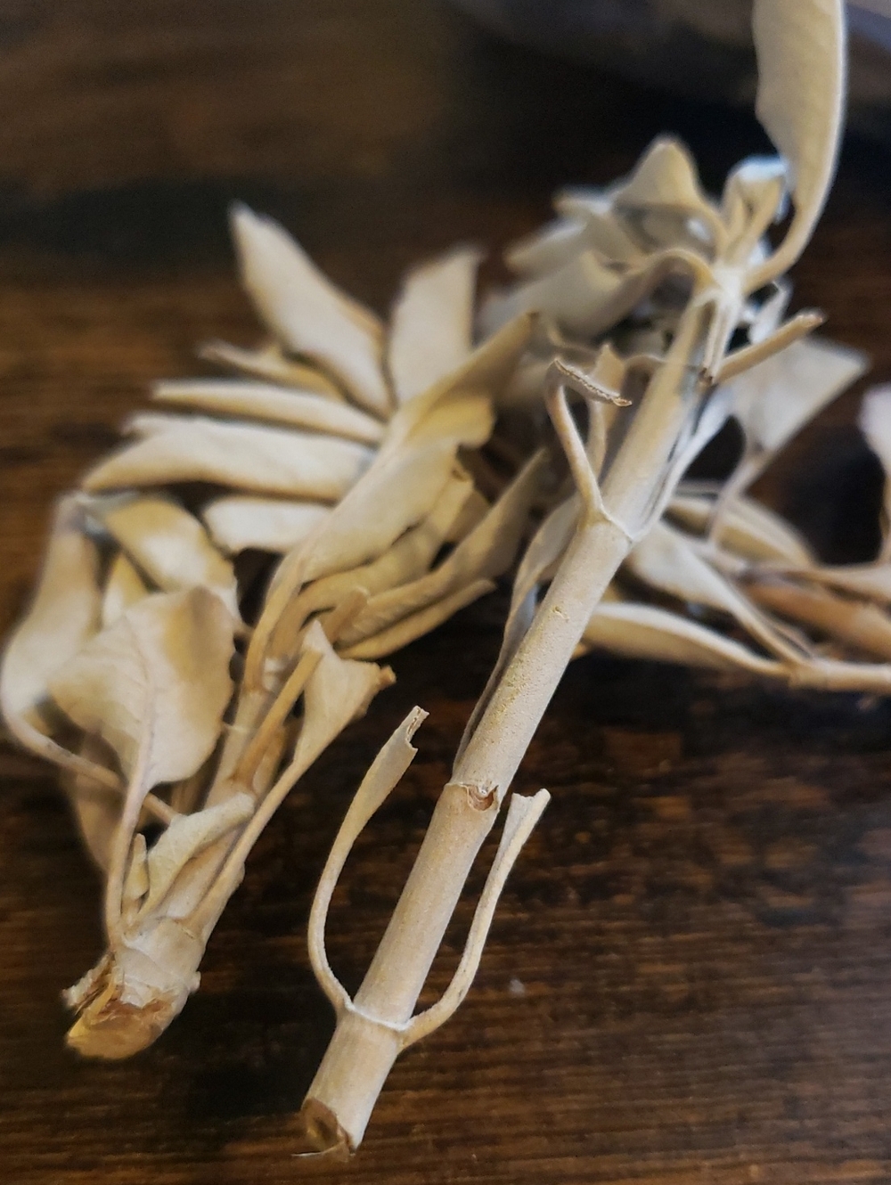 Organic Hand Grown and Harvested White Sage Leaf and Stem One Gallon Bag Bundle - Picture 3 of 3